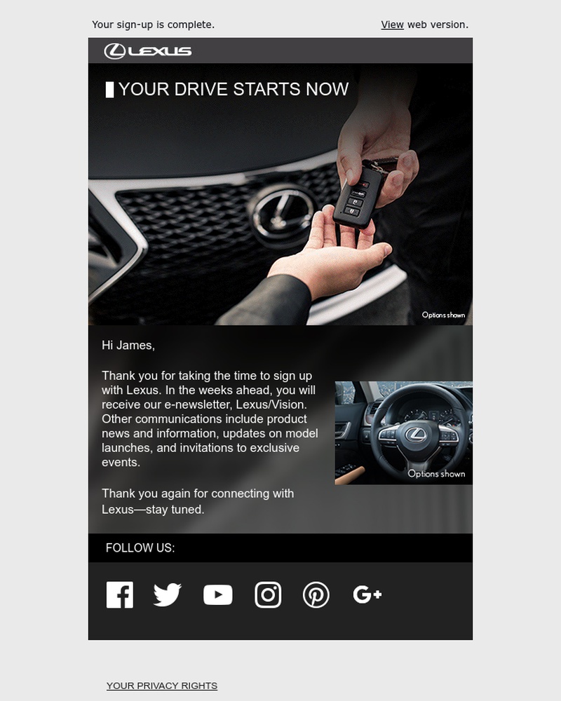 Screenshot of email sent to a Lexus Newsletter subscriber