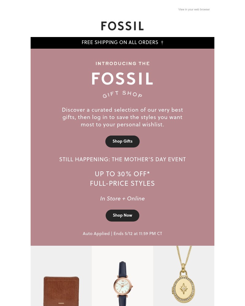 Screenshot of email with subject /media/emails/this-way-for-the-fossil-gift-shop-b485ee-cropped-0a6fe8f2.jpg