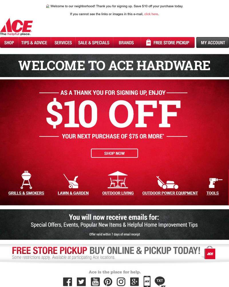 Screenshot of email sent to a Ace Hardware Newsletter subscriber