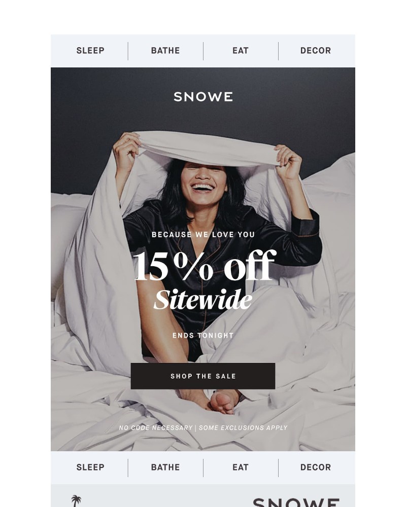 Screenshot of email sent to a Snowe Newsletter subscriber