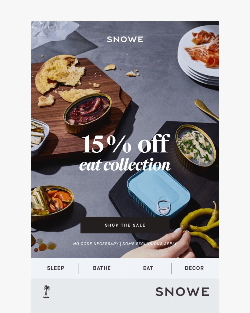 Screenshot of email sent to a Snowe Newsletter subscriber