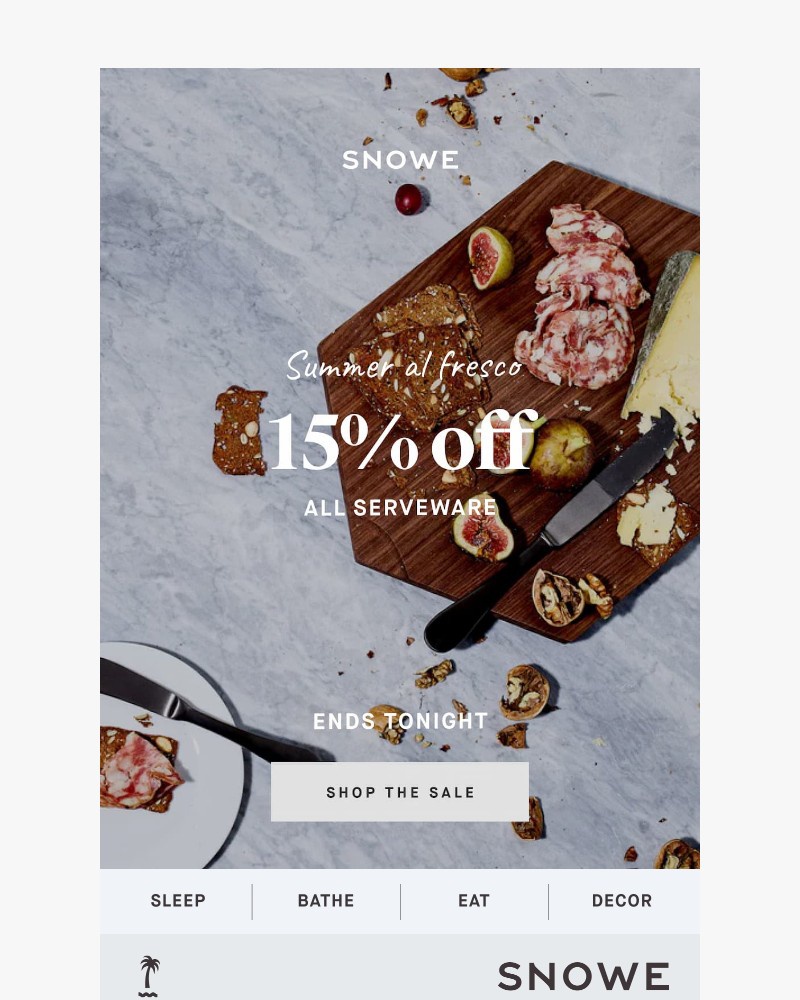Screenshot of email sent to a Snowe Newsletter subscriber