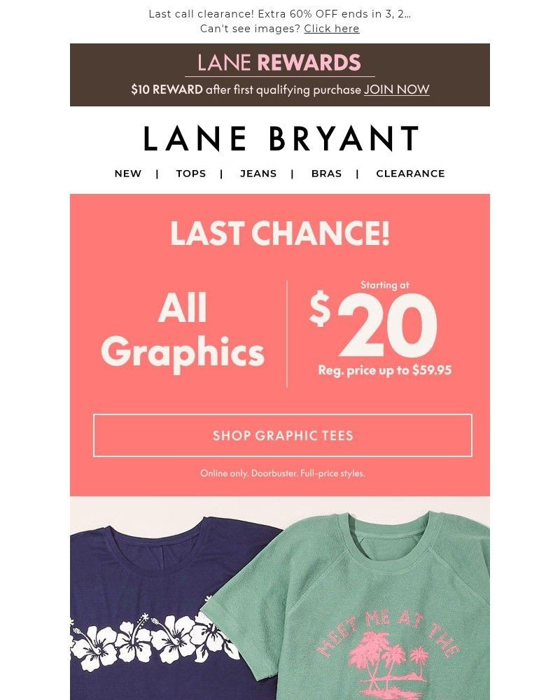Screenshot of email sent to a Lane Bryant Newsletter subscriber