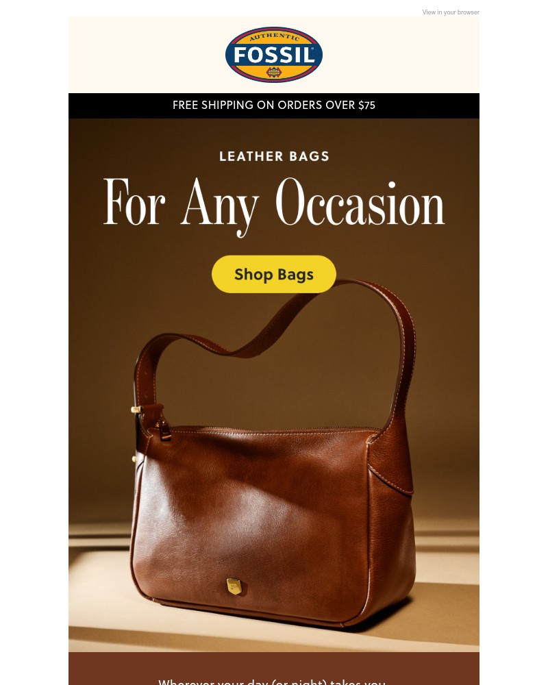 Screenshot of email sent to a Fossil Newsletter subscriber