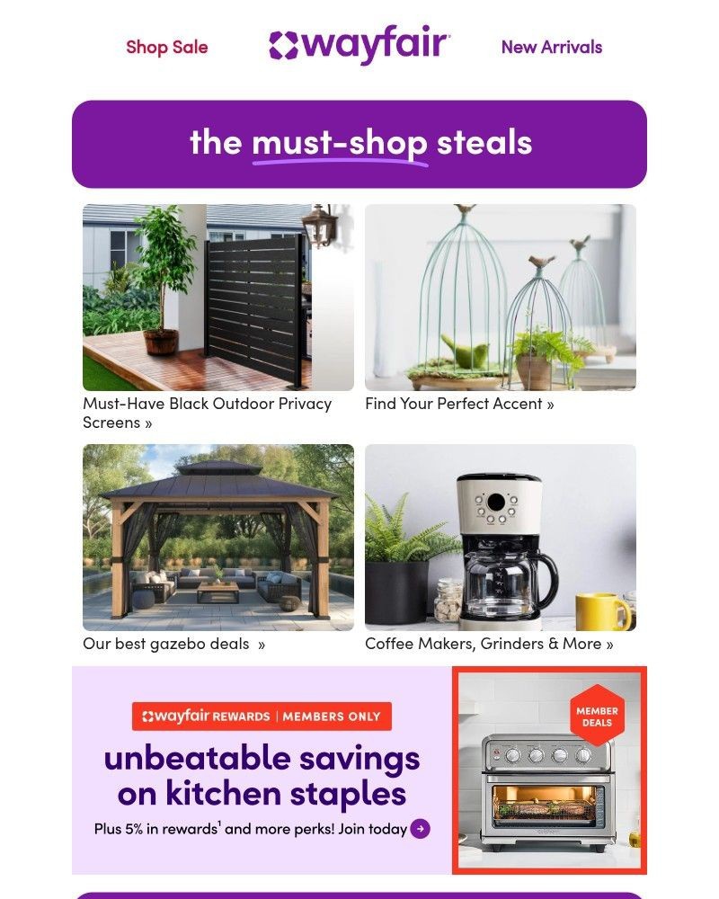 Screenshot of email sent to a Wayfair Newsletter subscriber