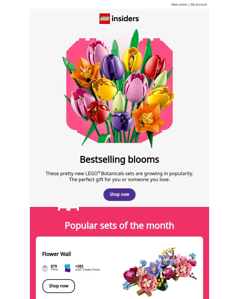 Screenshot of email sent to a Lego Registered user