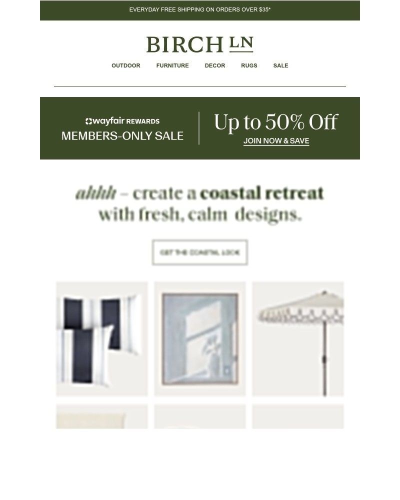 Screenshot of email sent to a Birch Lane Newsletter subscriber