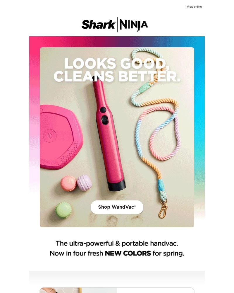 Screenshot of email sent to a Shark Newsletter subscriber