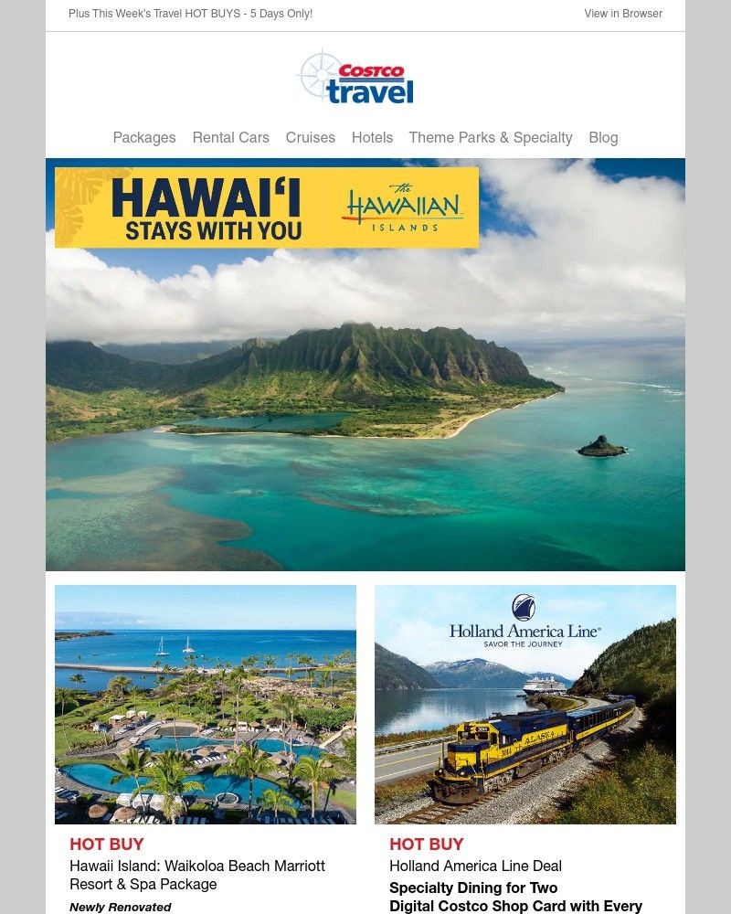 Screenshot of email sent to a Costco Newsletter subscriber