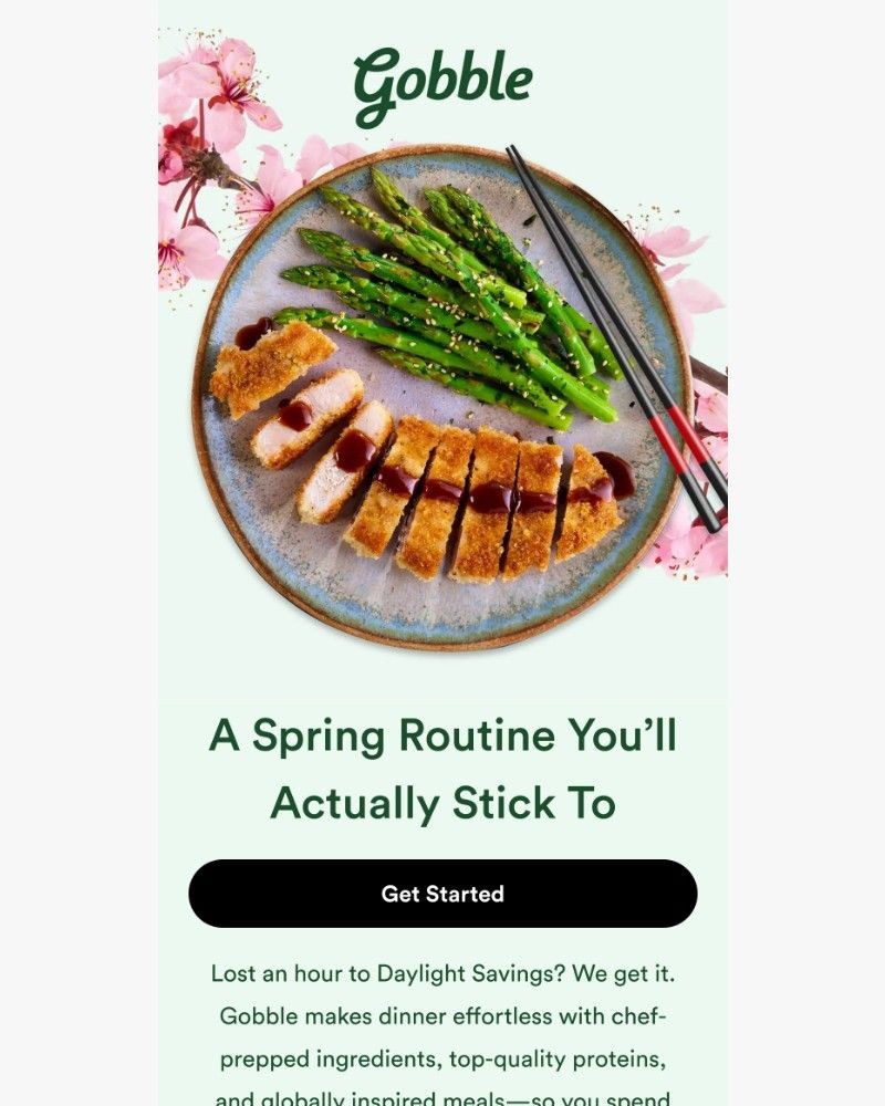 Screenshot of email sent to a Gobble Cart abandoner
