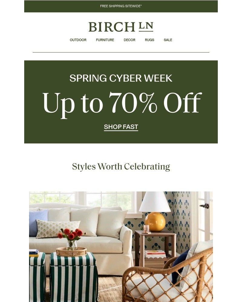 Screenshot of email sent to a Birch Lane Newsletter subscriber