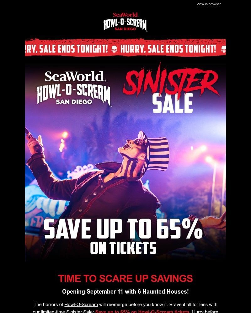 Screenshot of email sent to a Sea World Newsletter subscriber