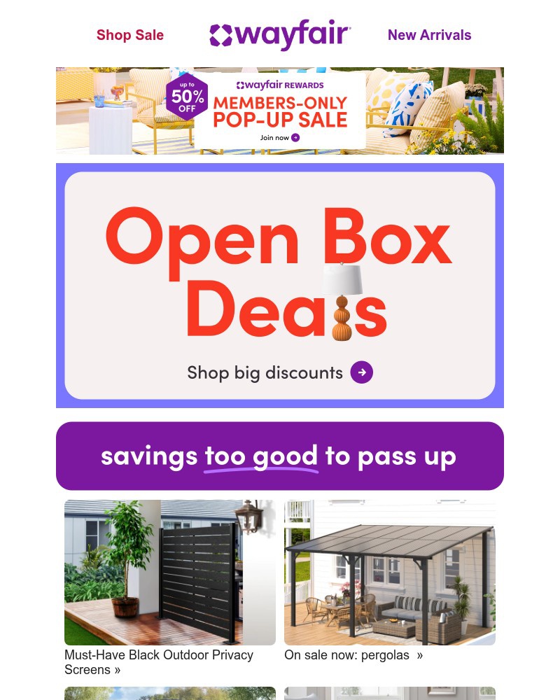 Screenshot of email sent to a Wayfair Newsletter subscriber