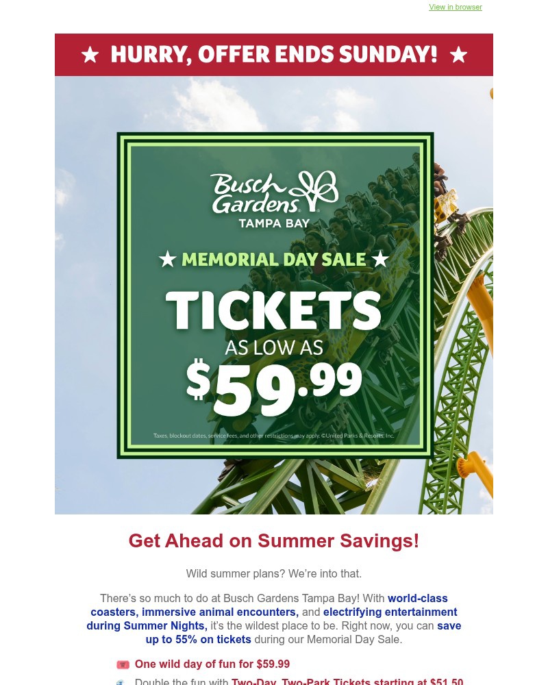 Screenshot of email sent to a Busch Gardens Newsletter subscriber