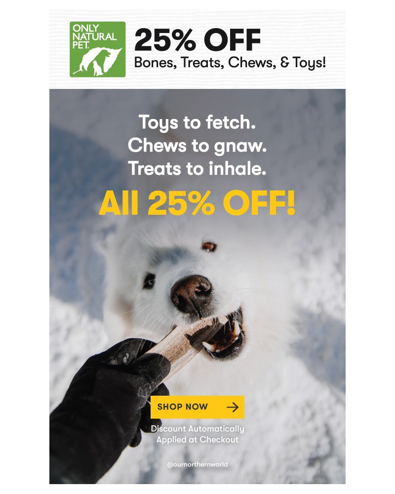 Screenshot of email sent to a Only Natural Pet Newsletter subscriber
