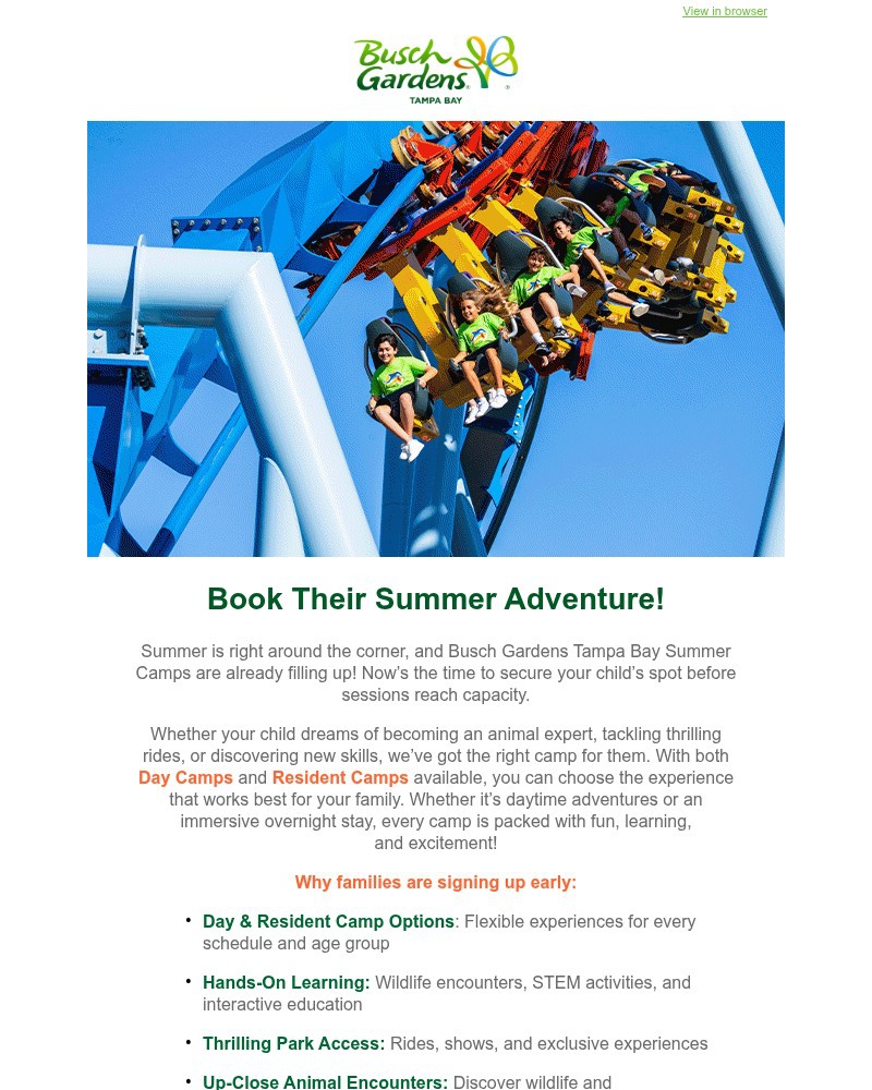 Screenshot of email sent to a Busch Gardens Newsletter subscriber
