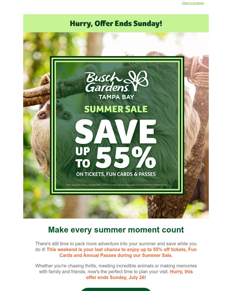 Screenshot of email sent to a Busch Gardens Newsletter subscriber
