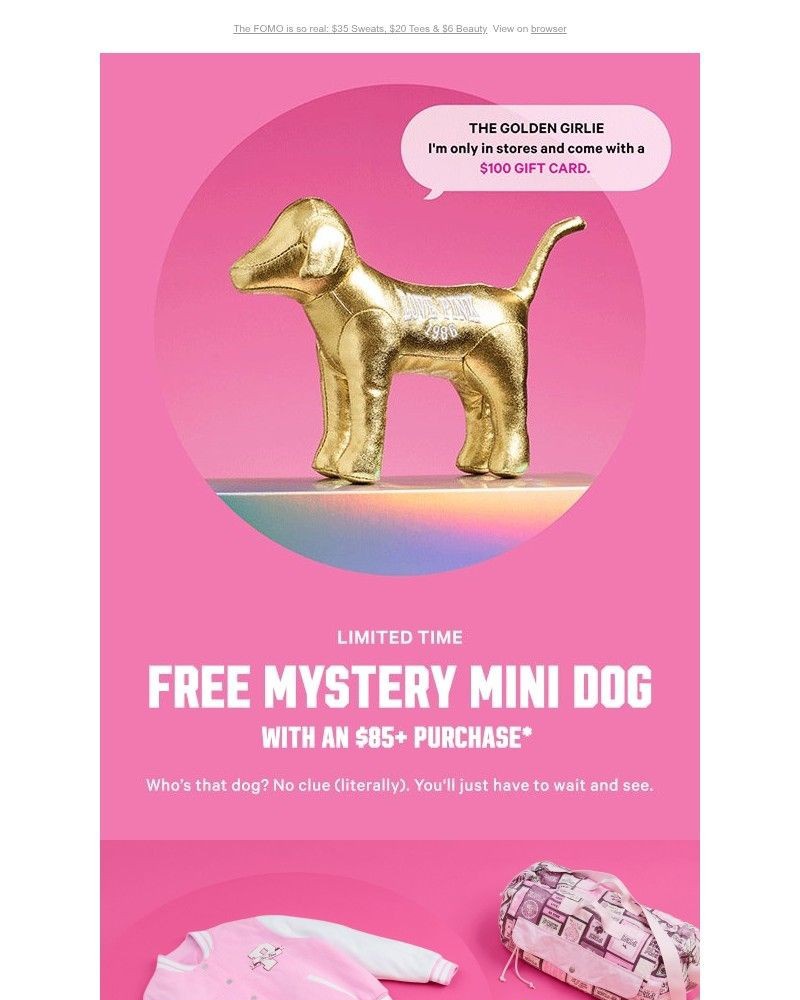 Screenshot of email sent to a Victoria's Secret Newsletter subscriber