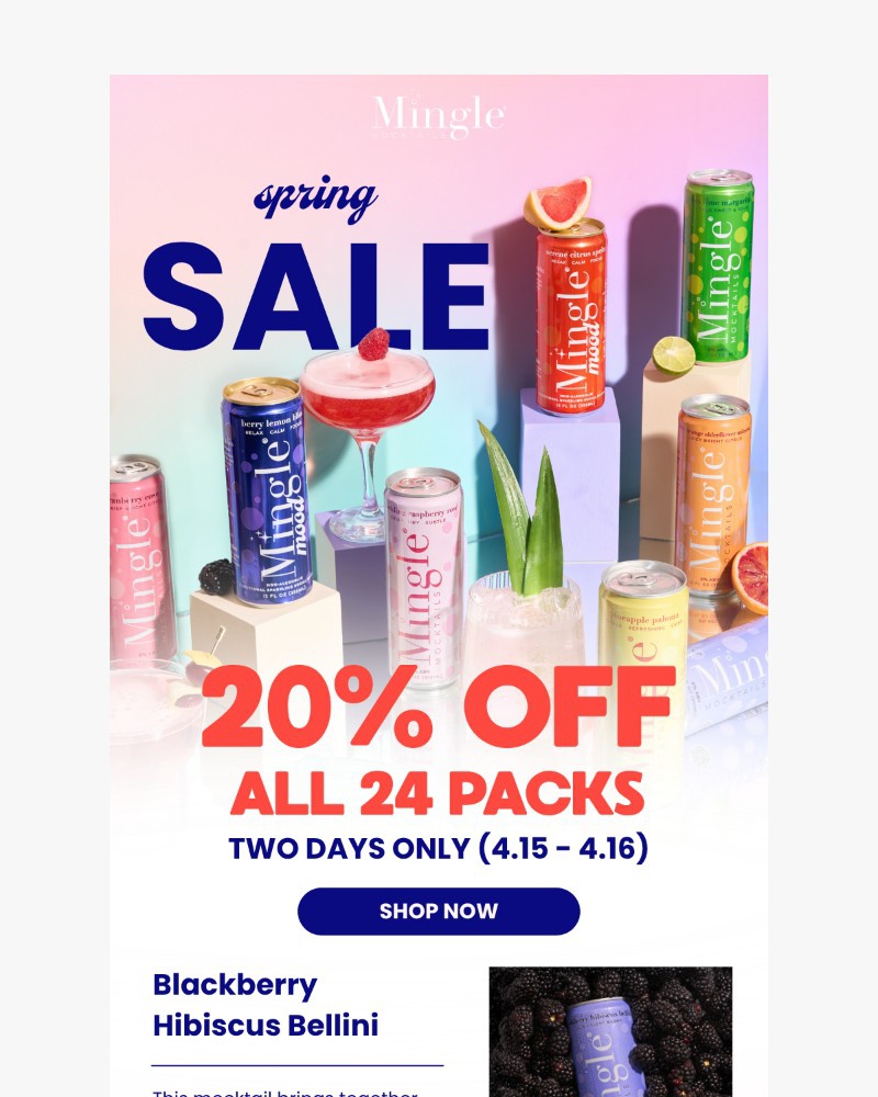 Screenshot of email sent to a Mingle Mocktails Newsletter subscriber