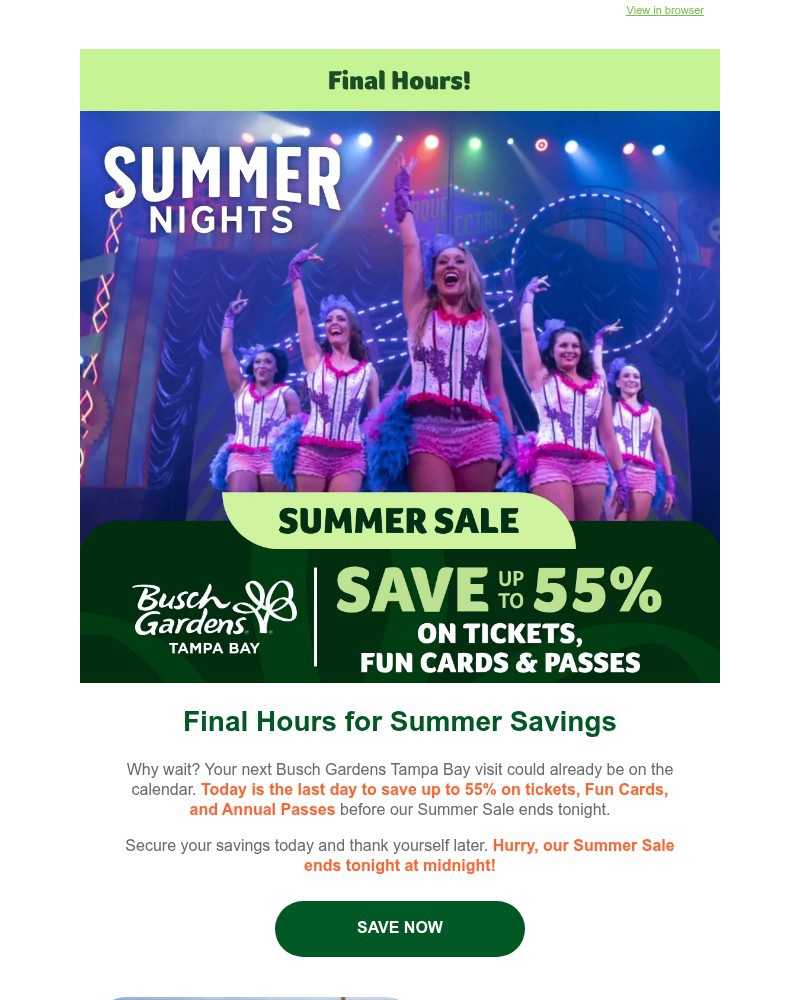 Screenshot of email sent to a Busch Gardens Newsletter subscriber