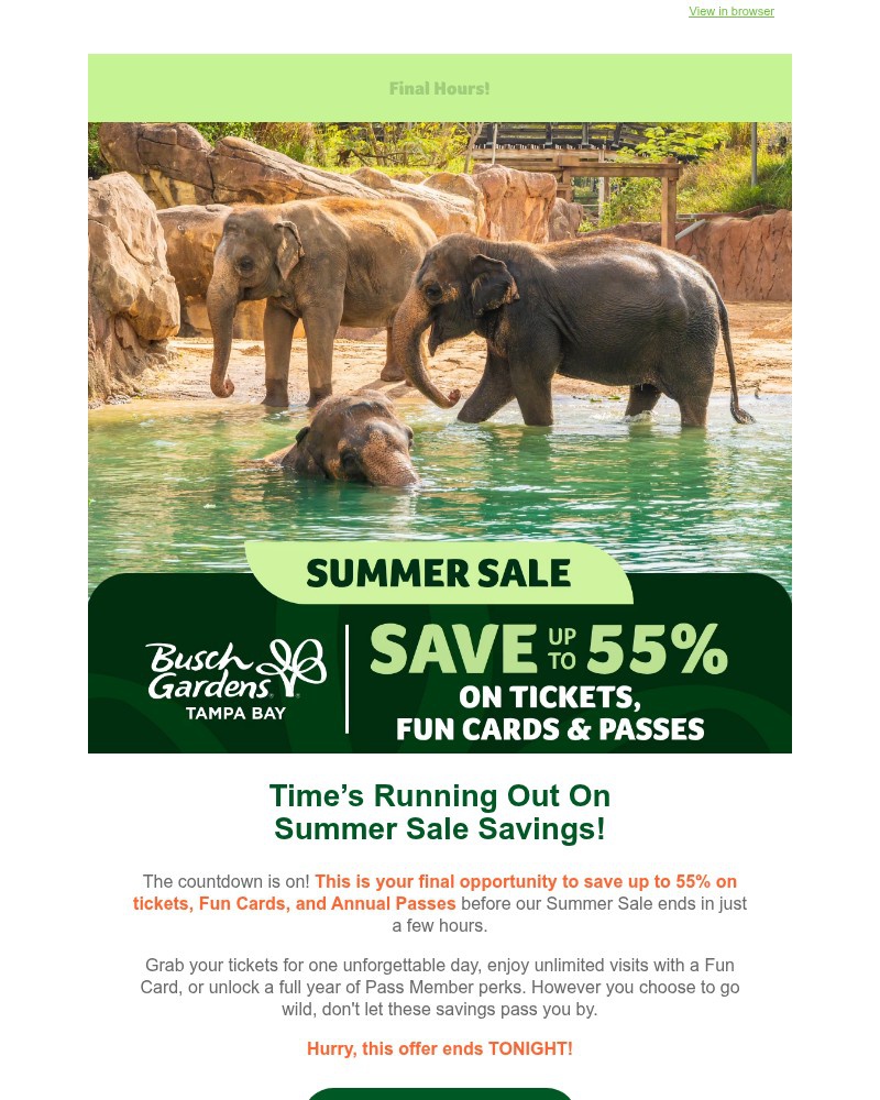 Screenshot of email sent to a Busch Gardens Newsletter subscriber