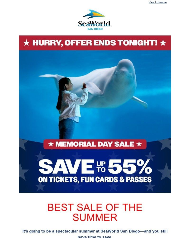 Screenshot of email sent to a Sea World Newsletter subscriber