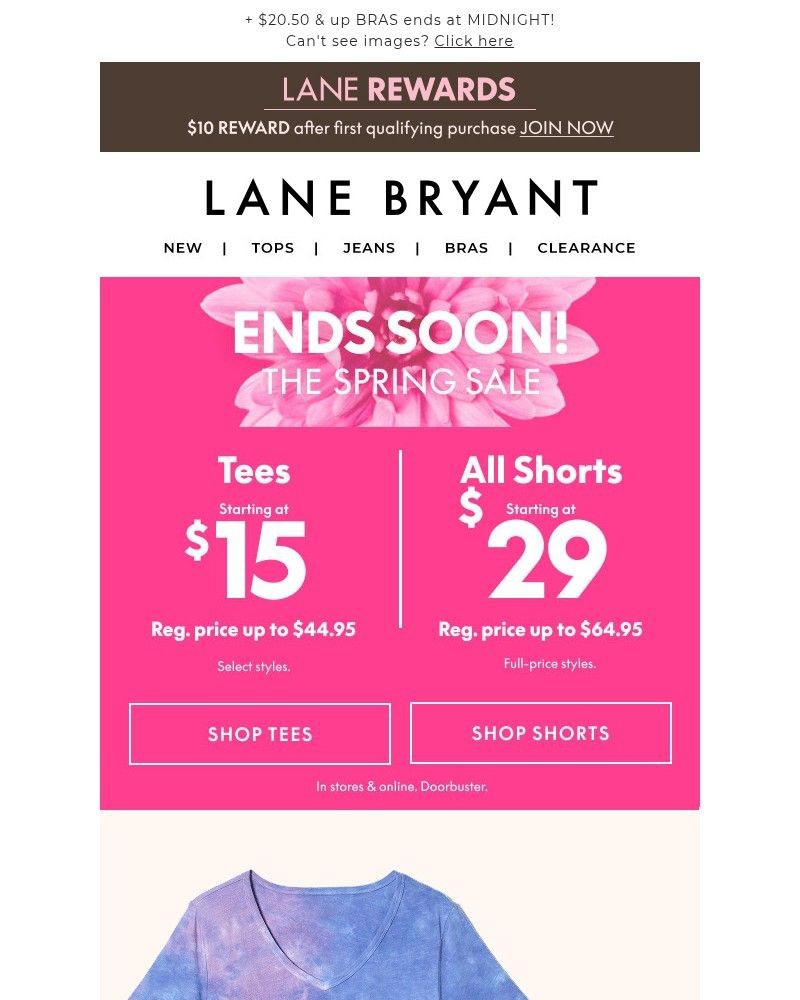Screenshot of email sent to a Lane Bryant Newsletter subscriber
