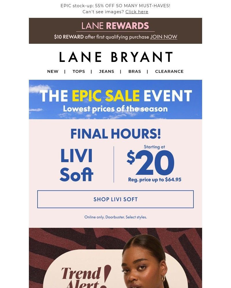 Screenshot of email sent to a Lane Bryant Newsletter subscriber