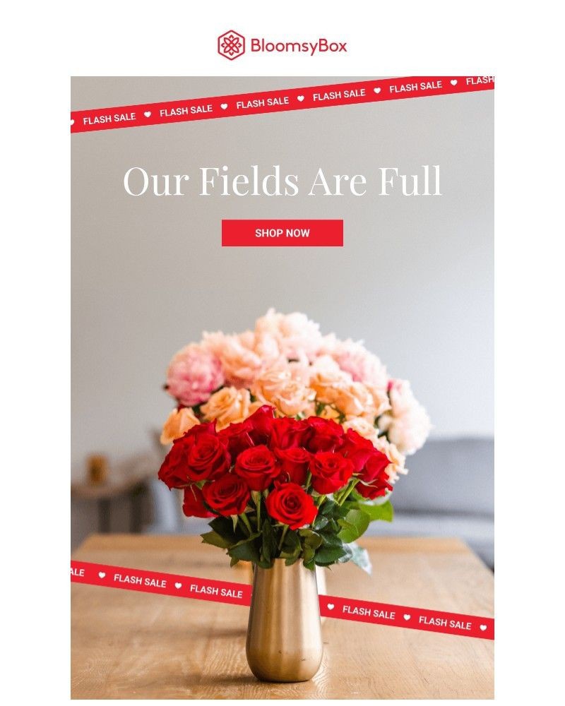 Screenshot of email sent to a Chococurb Newsletter subscriber