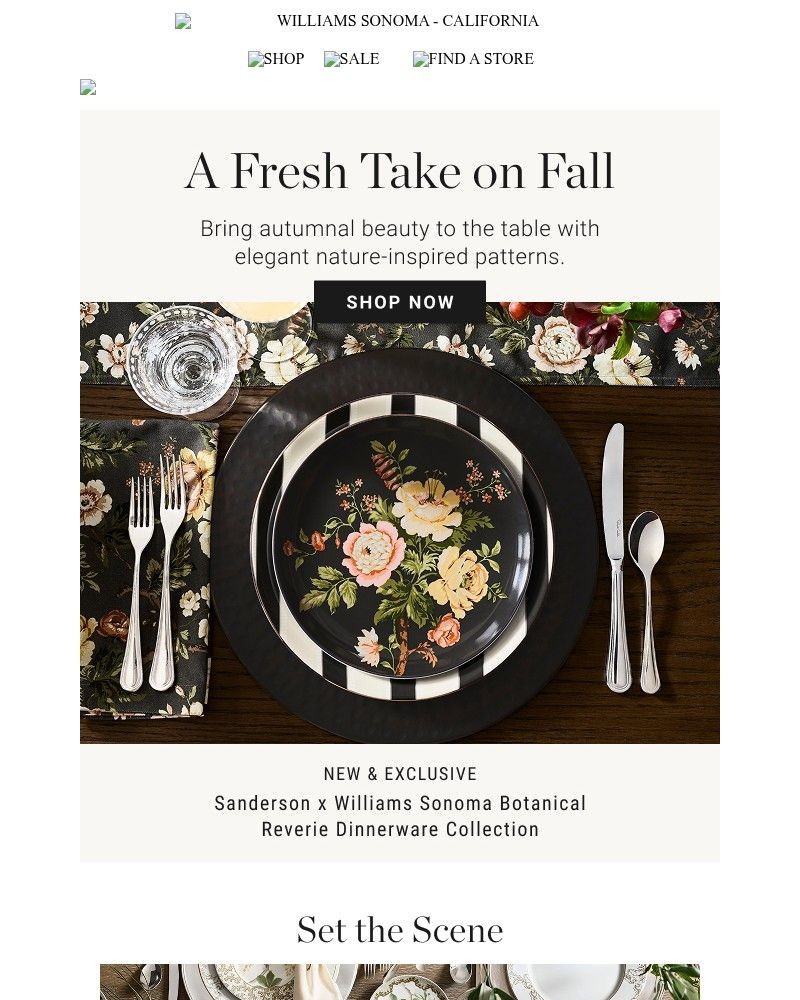 Screenshot of email sent to a Williams Sonoma Newsletter subscriber