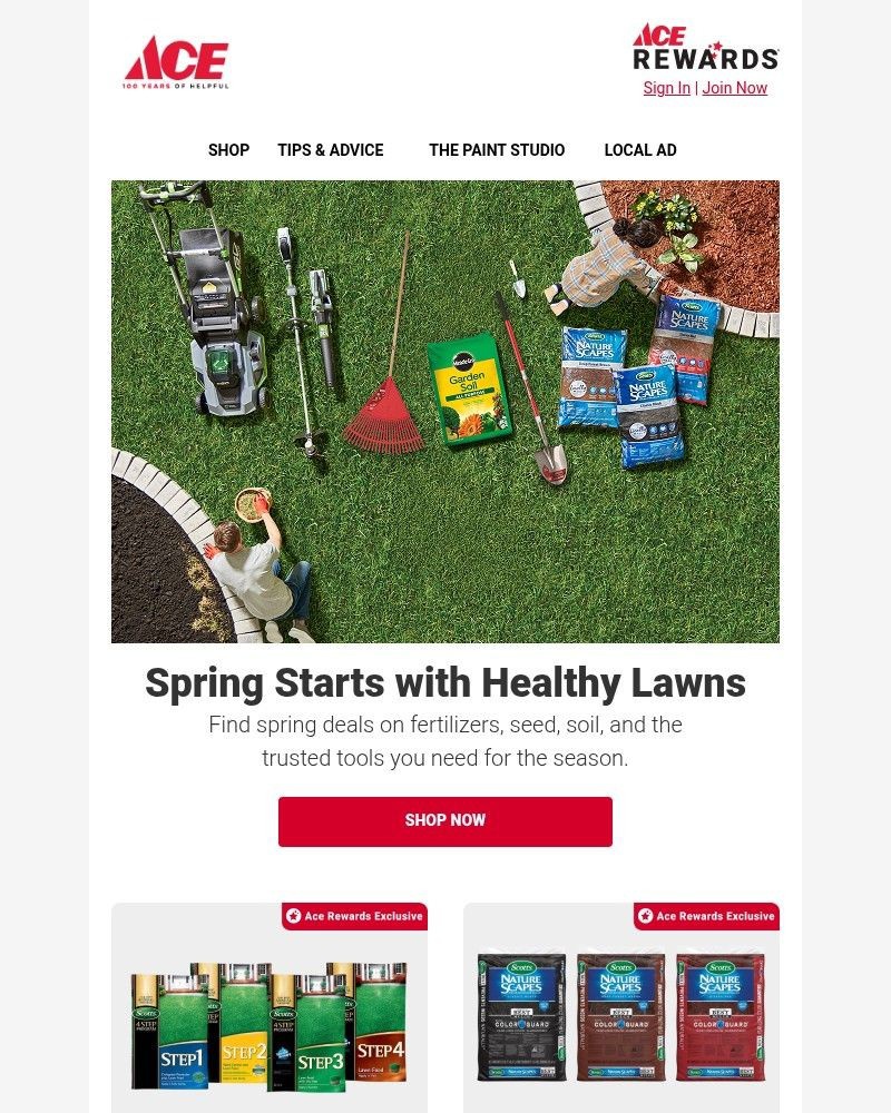Screenshot of email sent to a Ace Hardware Newsletter subscriber
