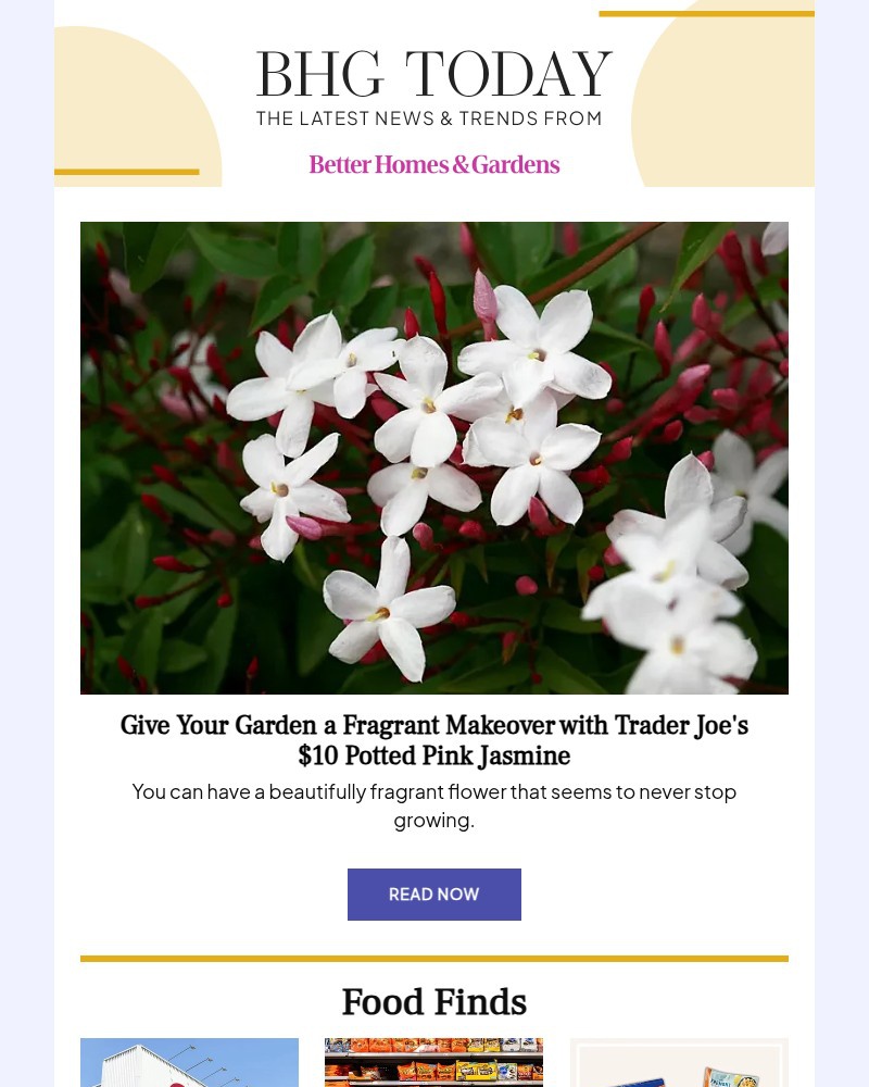 Screenshot of email sent to a Better Homes and Gardens Newsletter subscriber