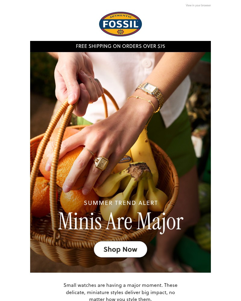Screenshot of email sent to a Fossil Newsletter subscriber