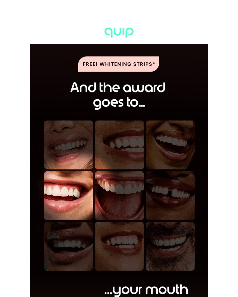 Screenshot of email sent to a Quip Newsletter subscriber