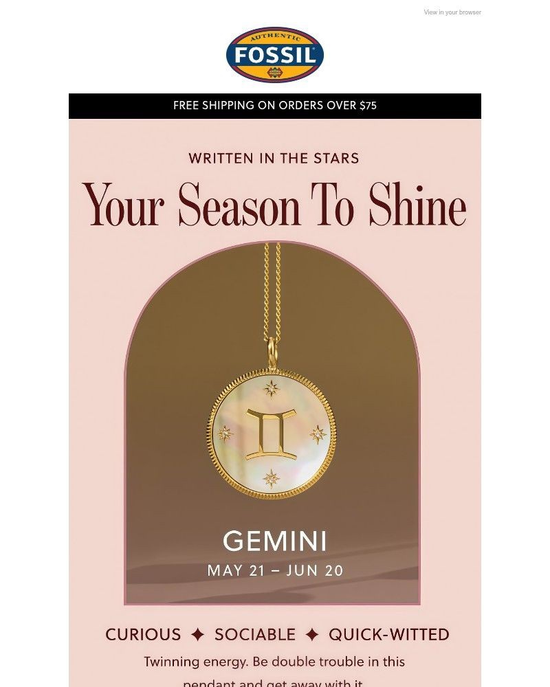 Screenshot of email sent to a Fossil Newsletter subscriber