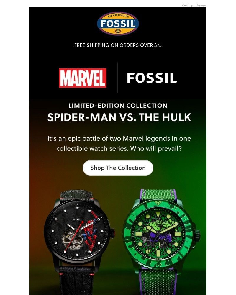 Screenshot of email sent to a Fossil Newsletter subscriber