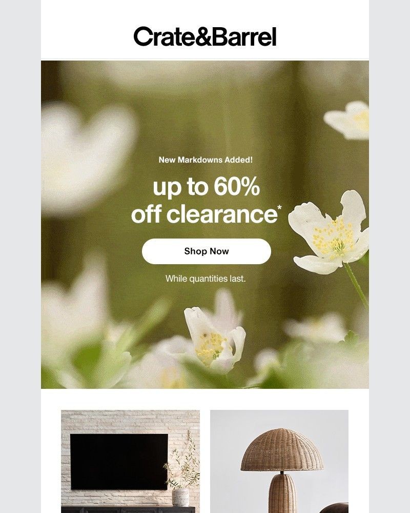 Screenshot of email sent to a Crate & Barrel Newsletter subscriber