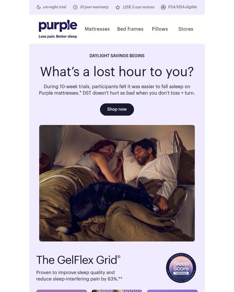 Screenshot of email sent to a Purple Cart abandoner