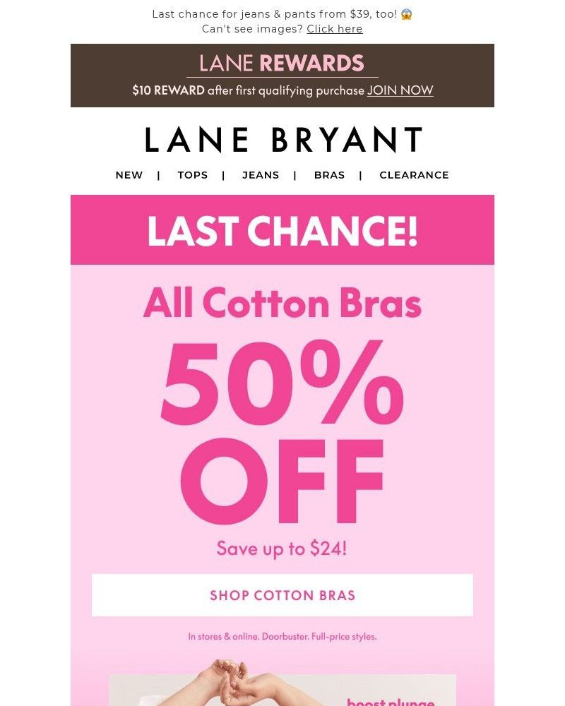 Screenshot of email sent to a Lane Bryant Newsletter subscriber