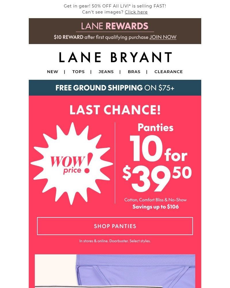 Screenshot of email sent to a Lane Bryant Newsletter subscriber