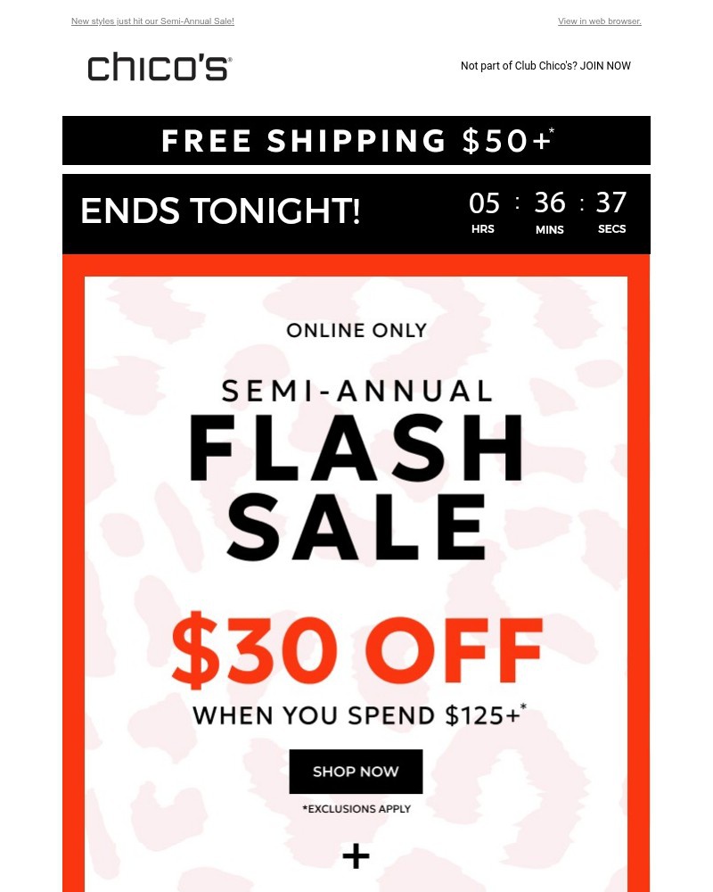 Screenshot of email sent to a Chico’s Newsletter subscriber