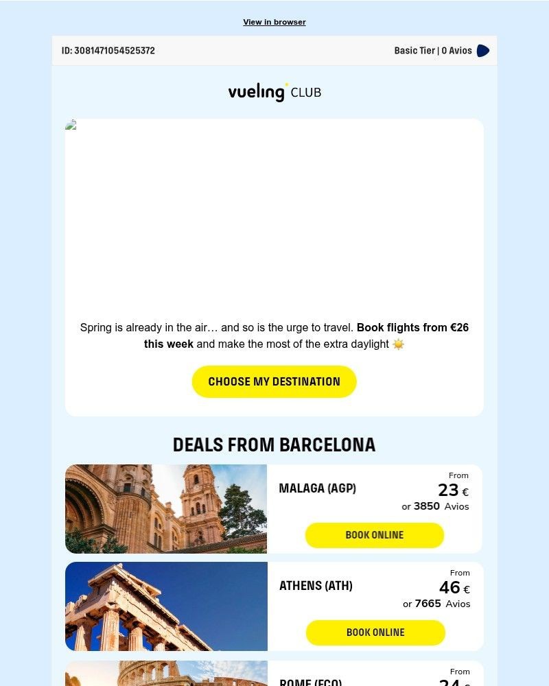 Screenshot of email sent to a Vueling Registered user