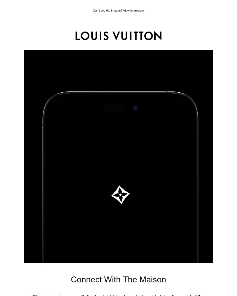 Screenshot of email sent to a Louis Vuitton Newsletter subscriber