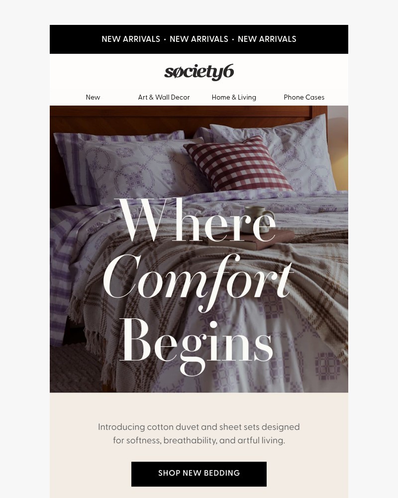 Screenshot of email sent to a Society6 Newsletter subscriber