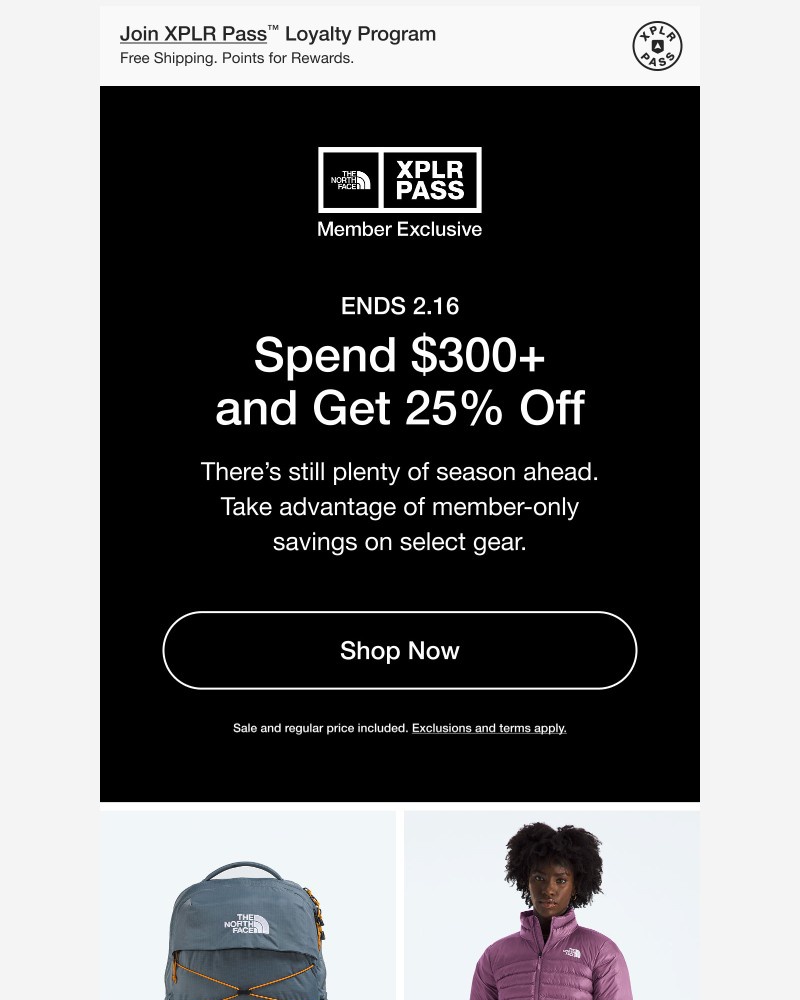Screenshot of email sent to a The North Face Newsletter subscriber