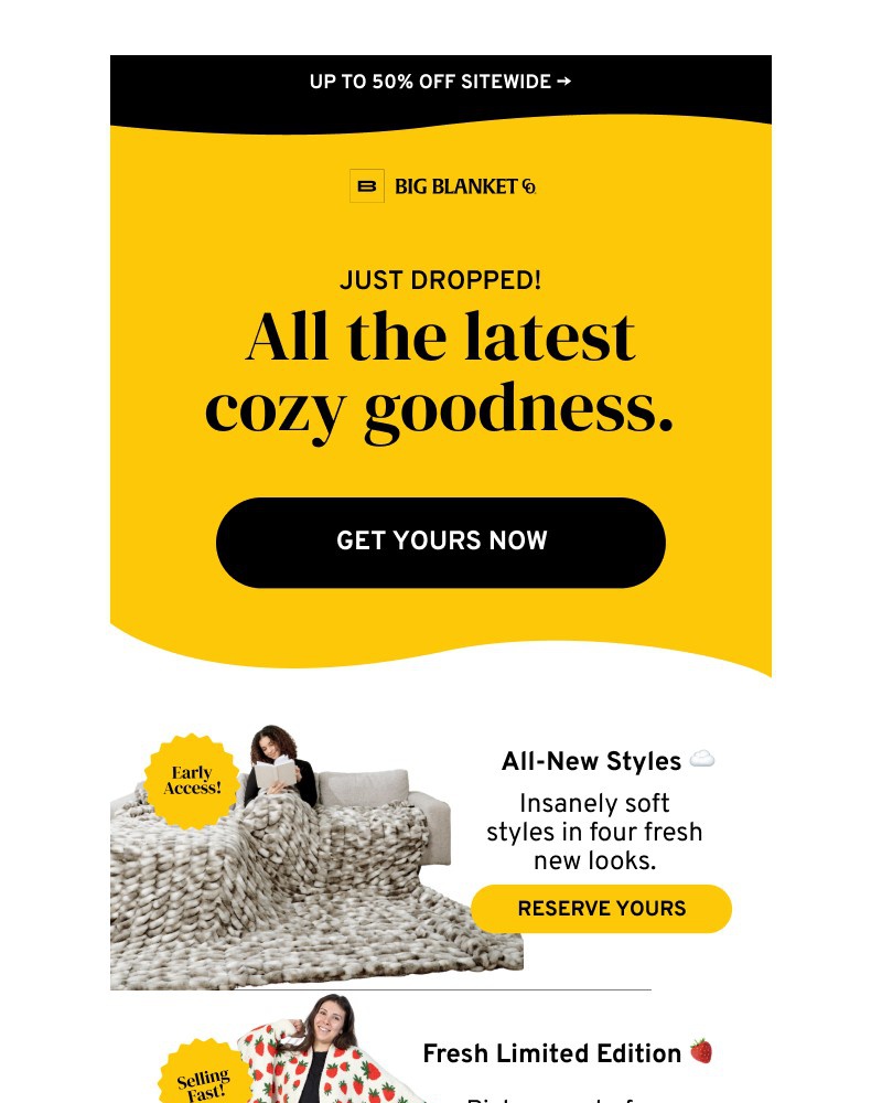 Screenshot of email sent to a Big Blanket Co. Newsletter subscriber