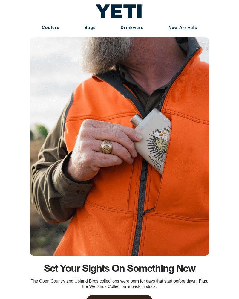 Screenshot of email sent to a Yeti Newsletter subscriber