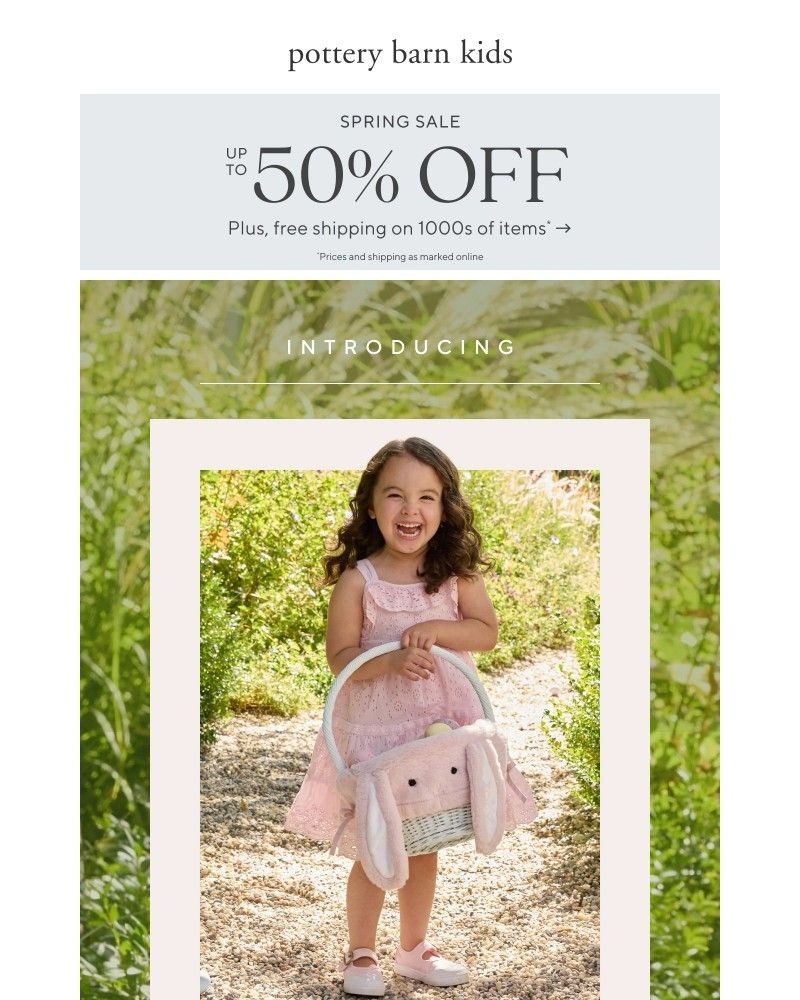 Screenshot of email sent to a Pottery Barn Newsletter subscriber