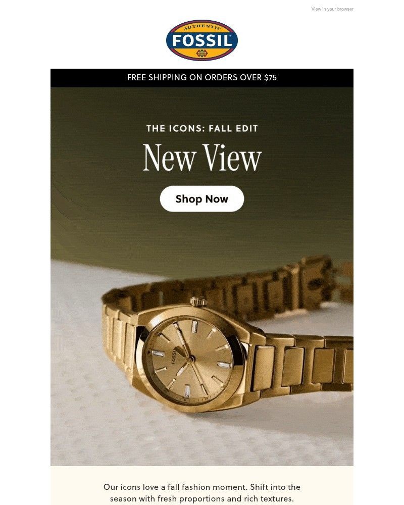 Screenshot of email sent to a Fossil Newsletter subscriber