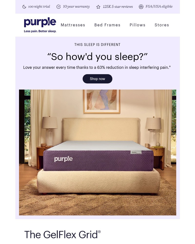 Screenshot of email sent to a Purple Cart abandoner